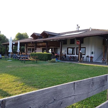 Appartamento Tiziana Val Di Fiemme 卡拉诺 外观 照片