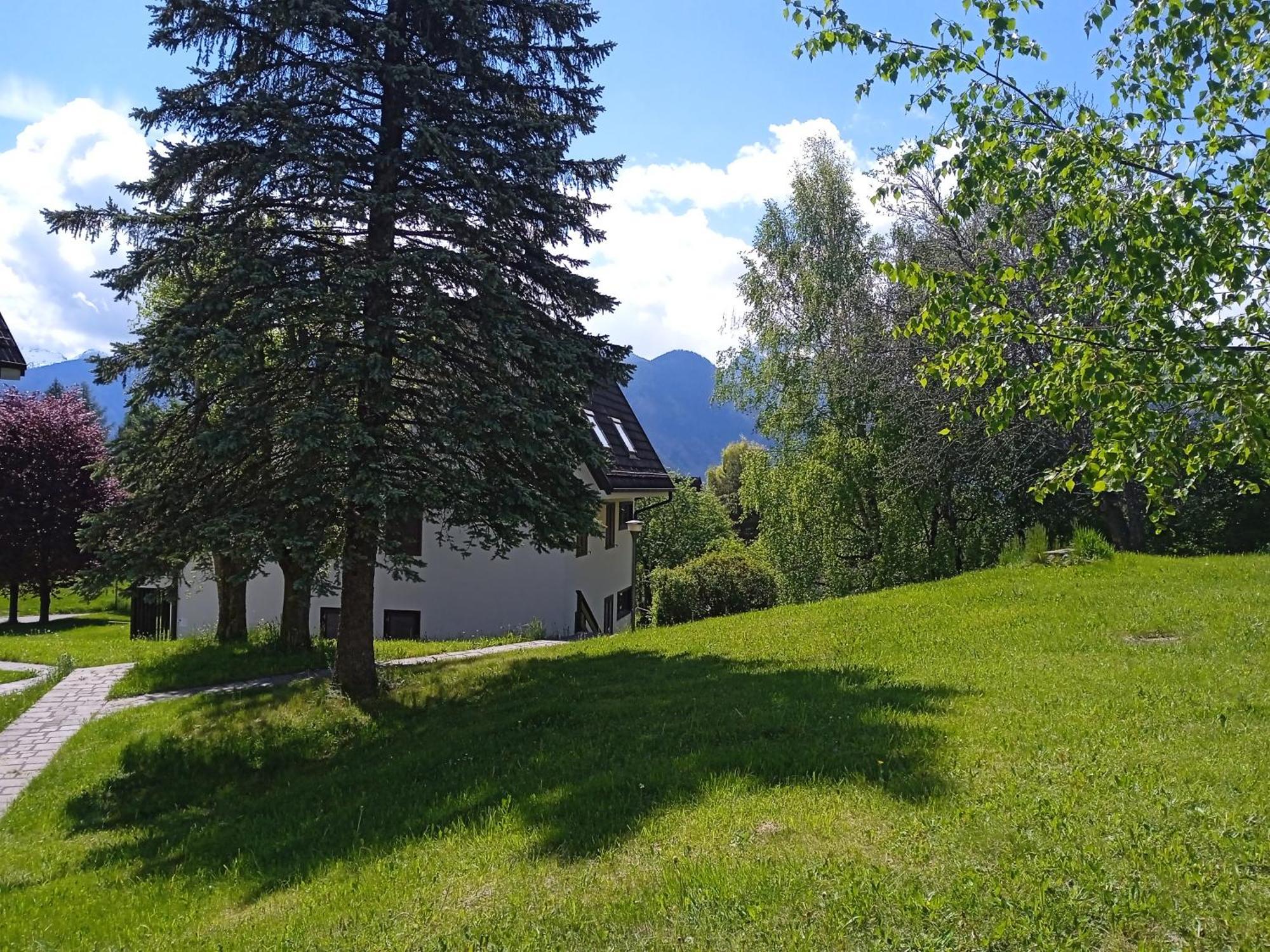 Appartamento Tiziana Val Di Fiemme 卡拉诺 外观 照片