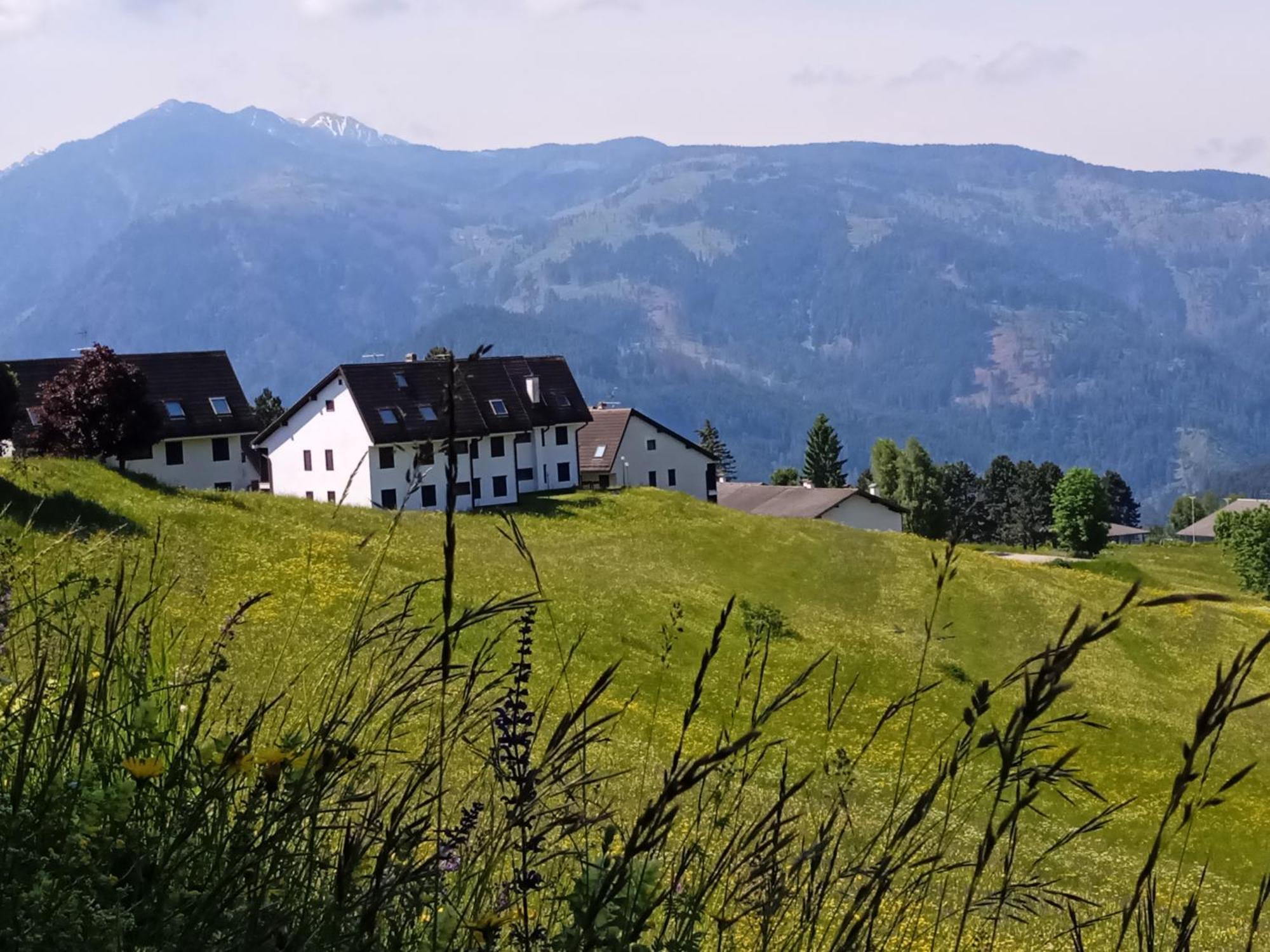 Appartamento Tiziana Val Di Fiemme 卡拉诺 外观 照片