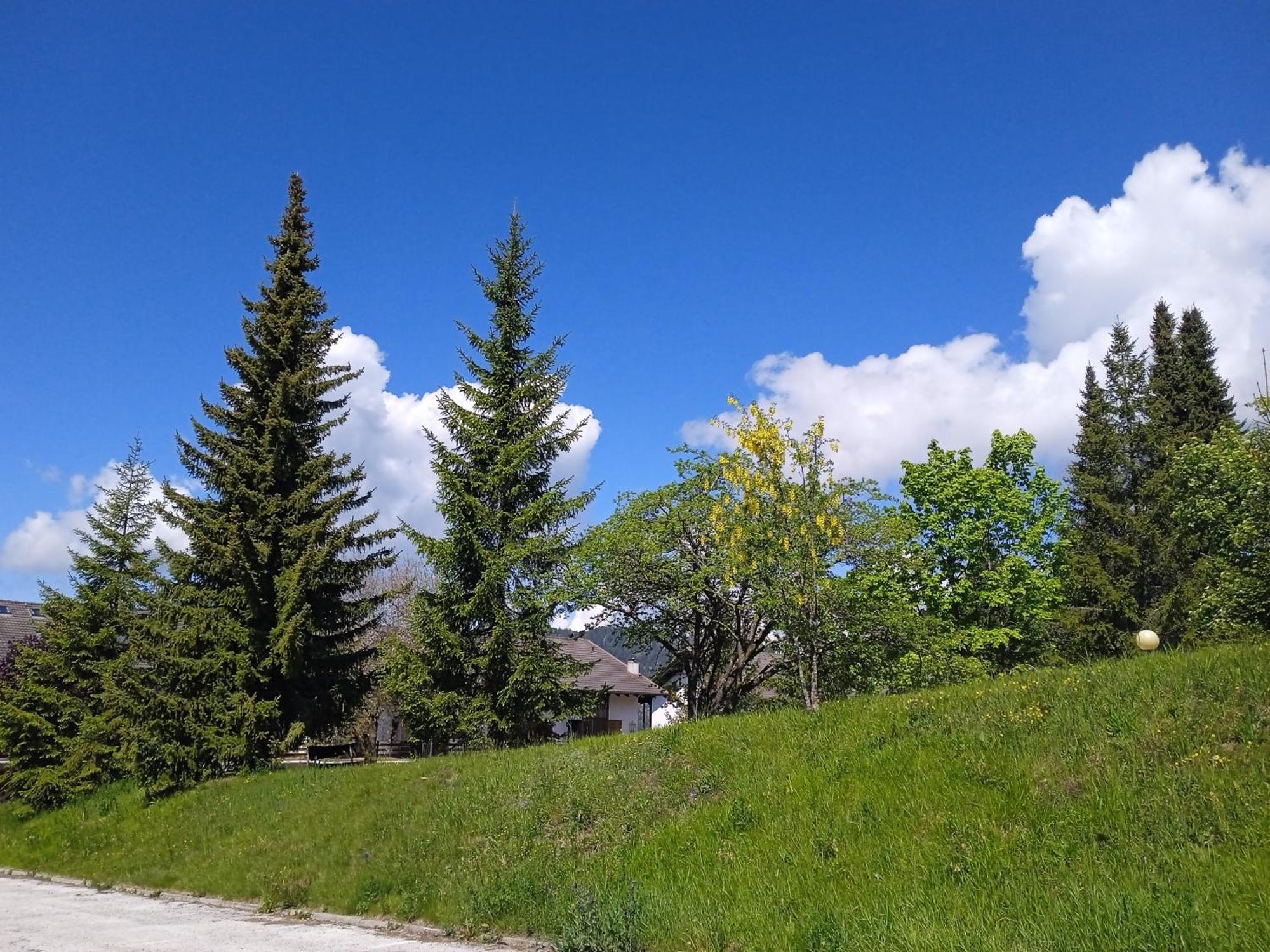 Appartamento Tiziana Val Di Fiemme 卡拉诺 外观 照片