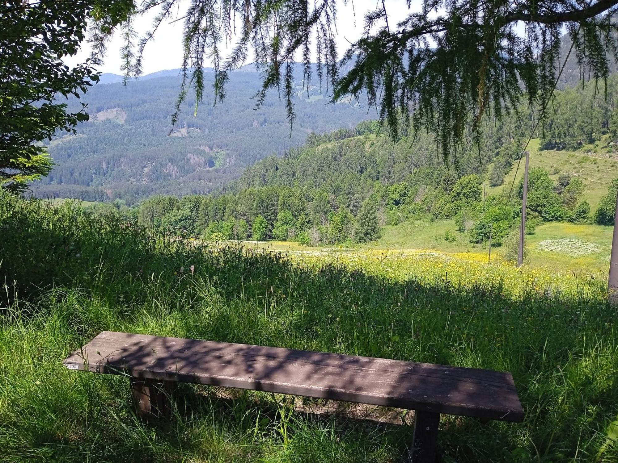 Appartamento Tiziana Val Di Fiemme 卡拉诺 外观 照片