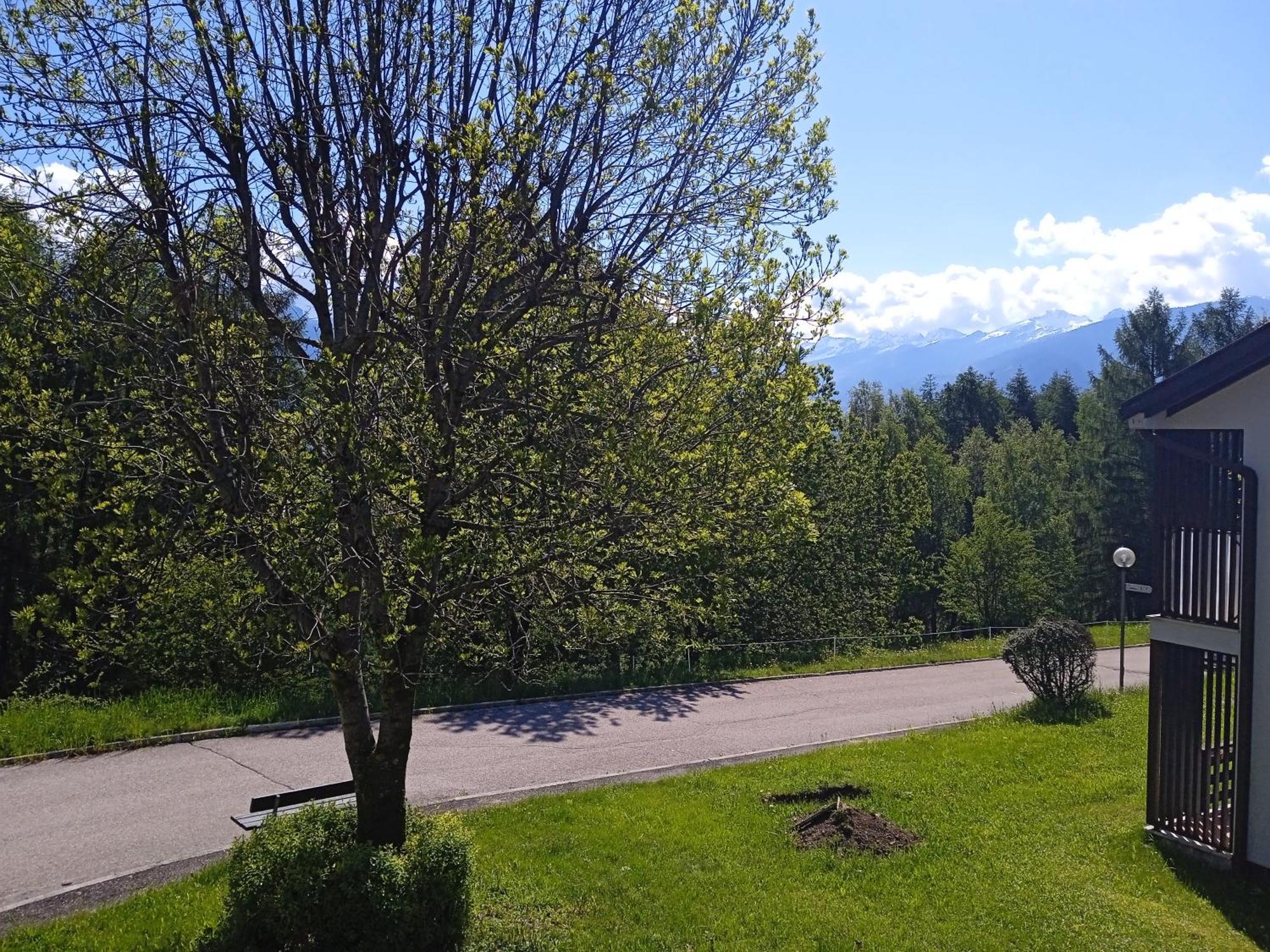 Appartamento Tiziana Val Di Fiemme 卡拉诺 外观 照片
