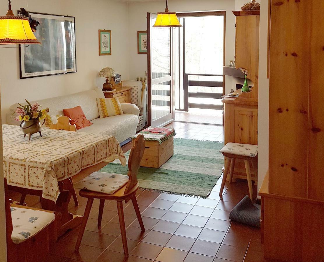 Appartamento Tiziana Val Di Fiemme 卡拉诺 外观 照片