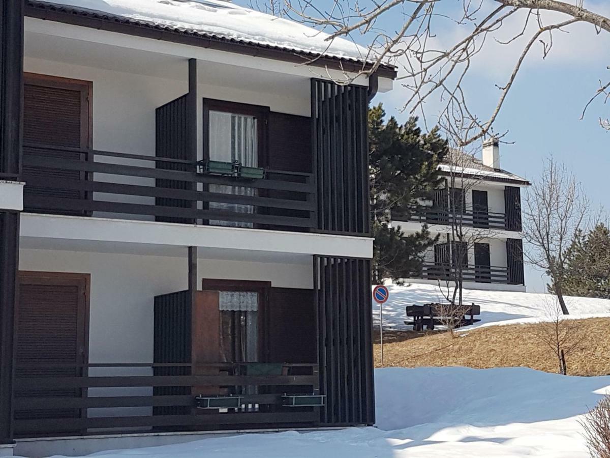 Appartamento Tiziana Val Di Fiemme 卡拉诺 外观 照片