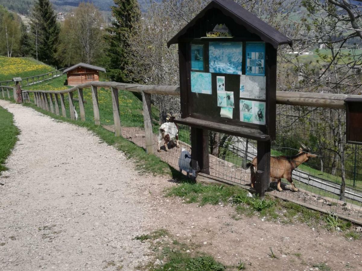 Appartamento Tiziana Val Di Fiemme 卡拉诺 外观 照片