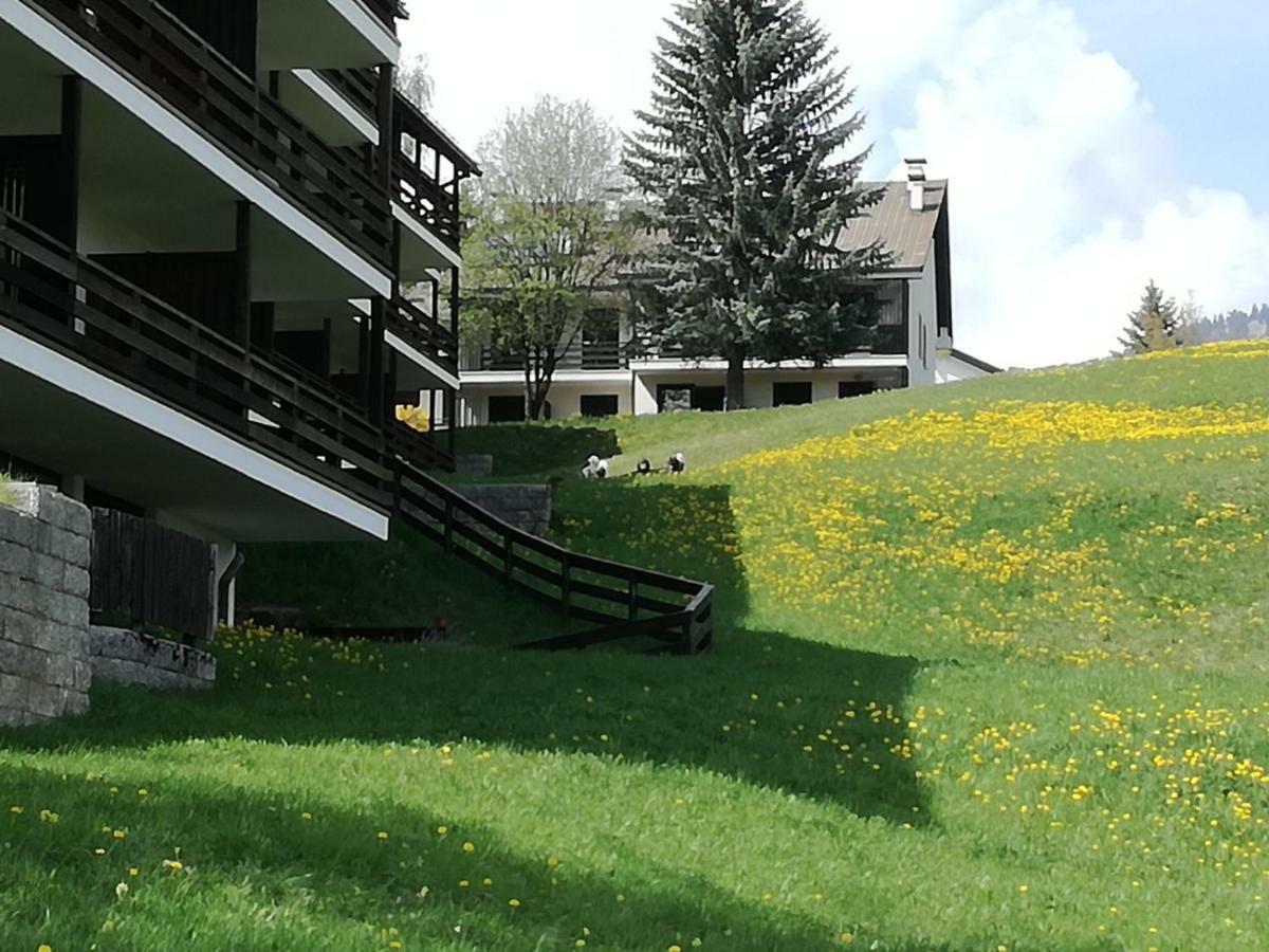 Appartamento Tiziana Val Di Fiemme 卡拉诺 外观 照片